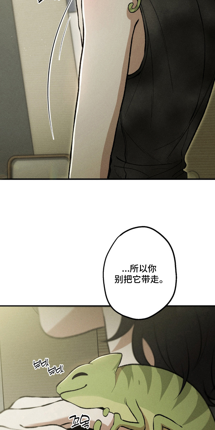 我的爬虫君漫画,第16章：心软4图