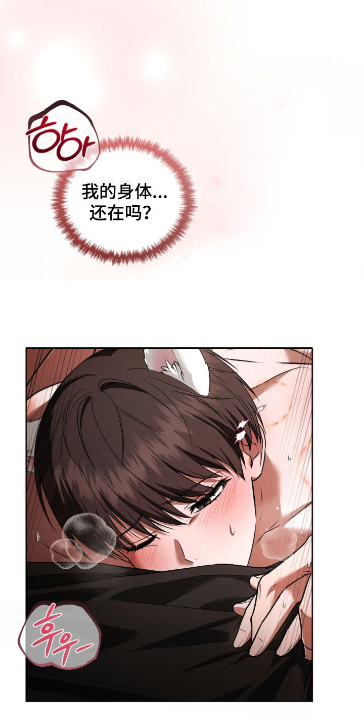 小白狗奇遇记漫画,第122章：【番外】都不记得了2图