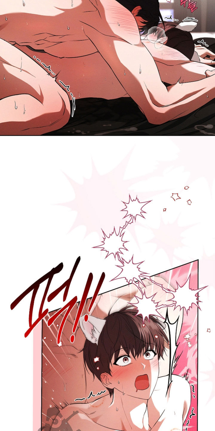小白狗奇遇记漫画,第122章：【番外】都不记得了4图
