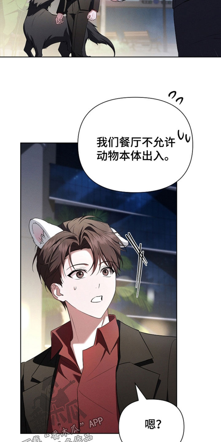 小白狗奇遇记漫画,第124章：【番外】禁止出入3图