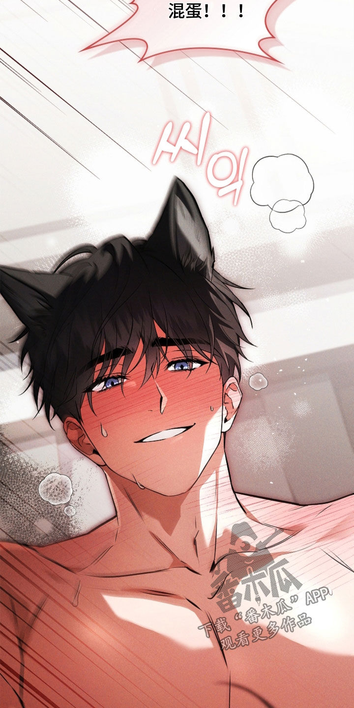 小白狗奇遇记漫画,第122章：【番外】都不记得了2图