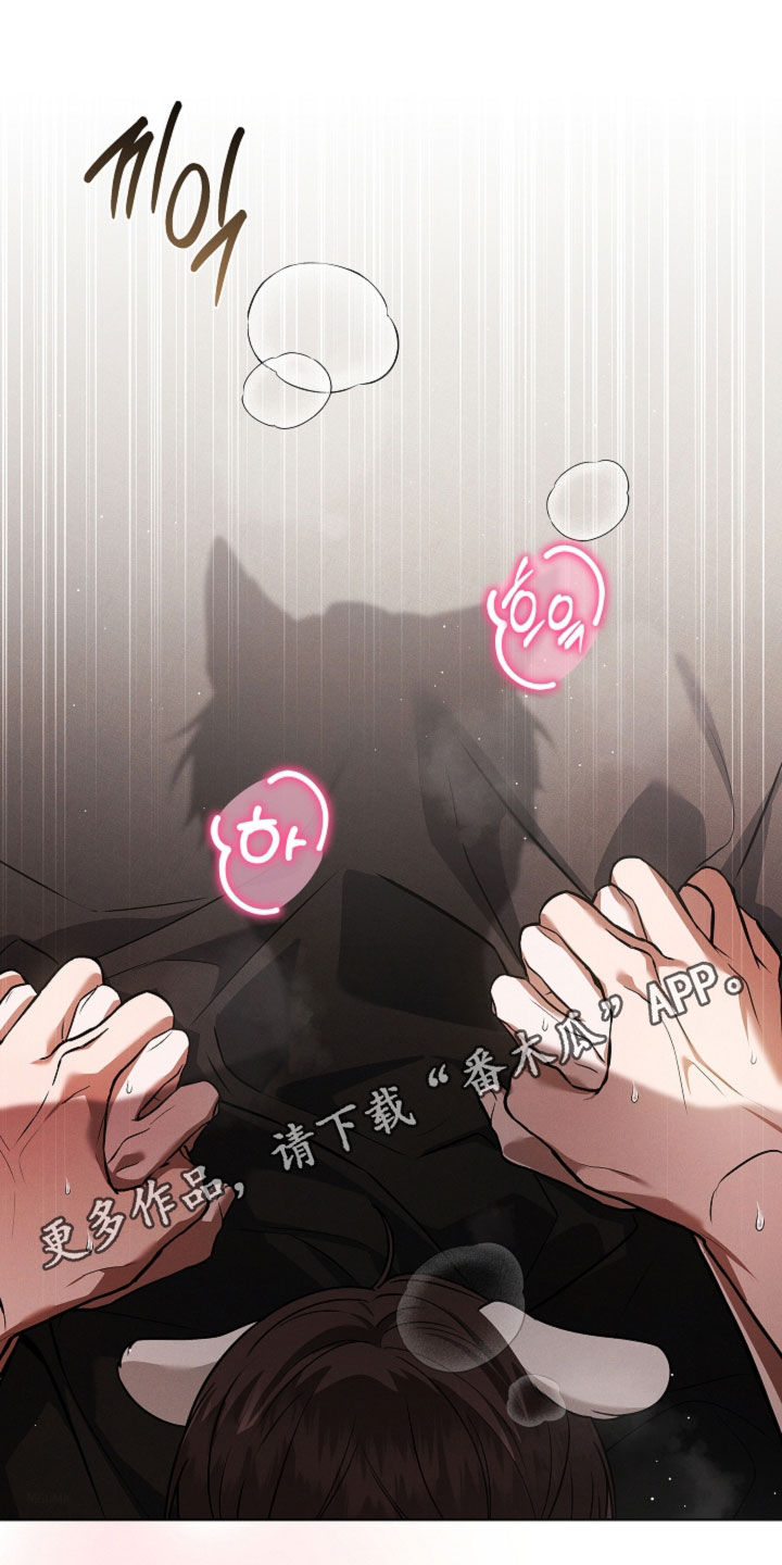 小白狗奇遇记漫画,第122章：【番外】都不记得了1图