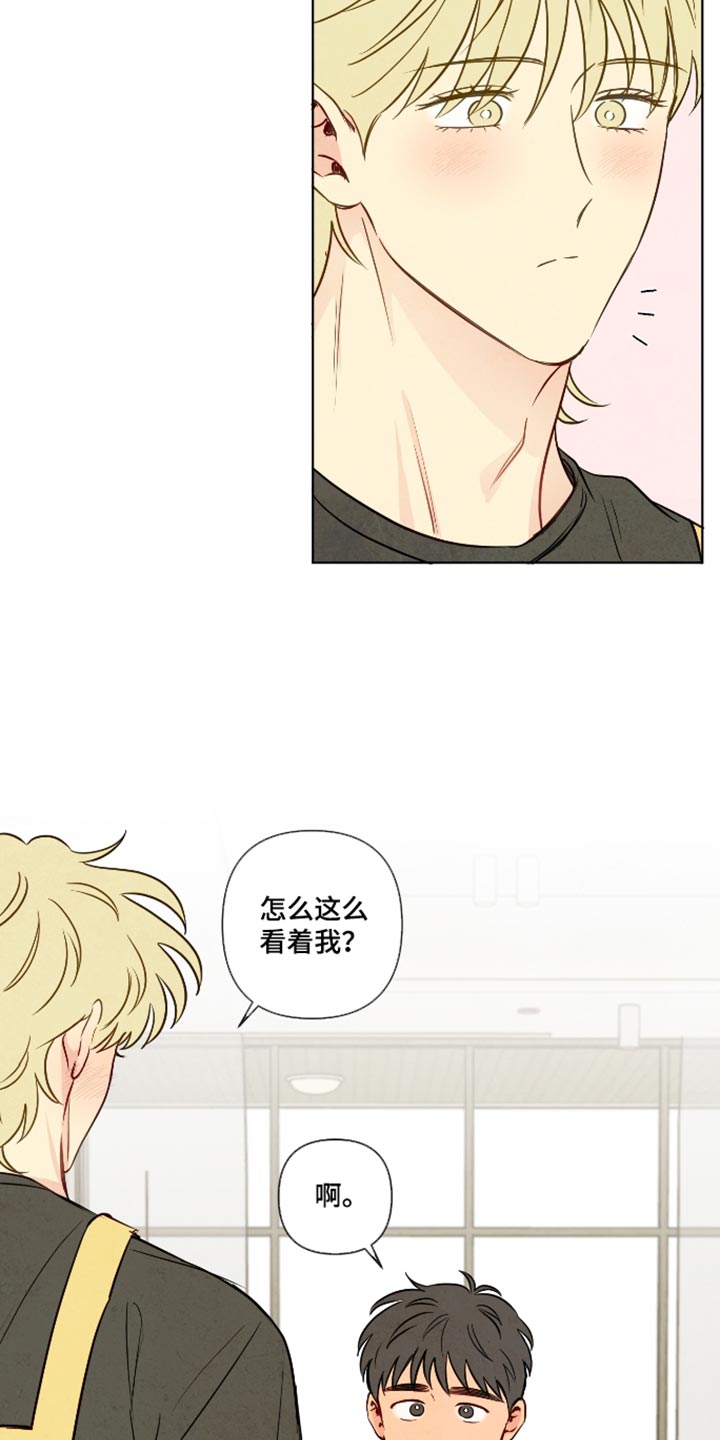 与神相拥免费全集观看漫画,第114章：【番外】为什么这么难过3图