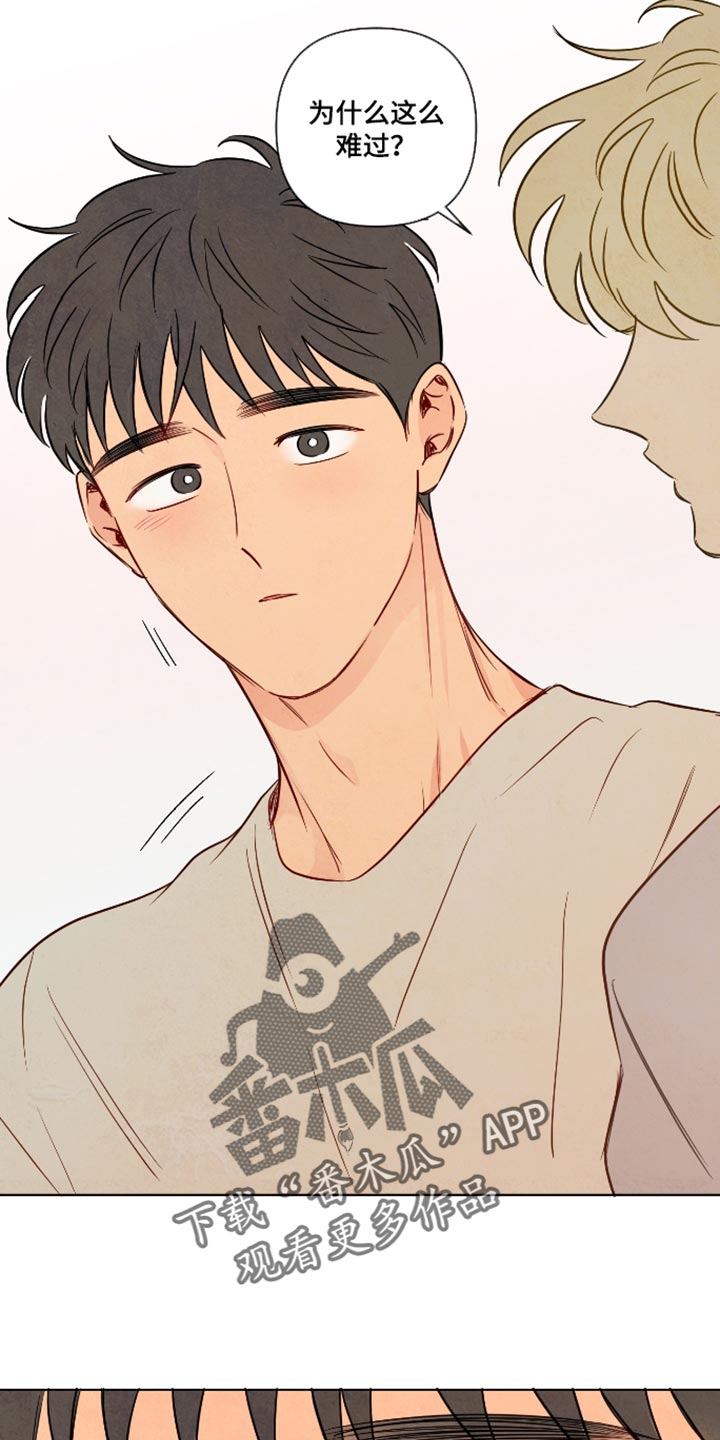 与神相拥免费全集观看漫画,第114章：【番外】为什么这么难过4图