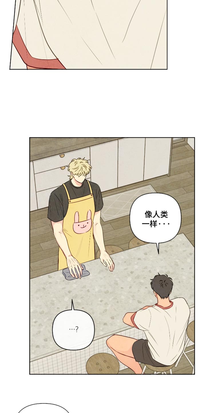 与神相拥免费全集观看漫画,第114章：【番外】为什么这么难过5图