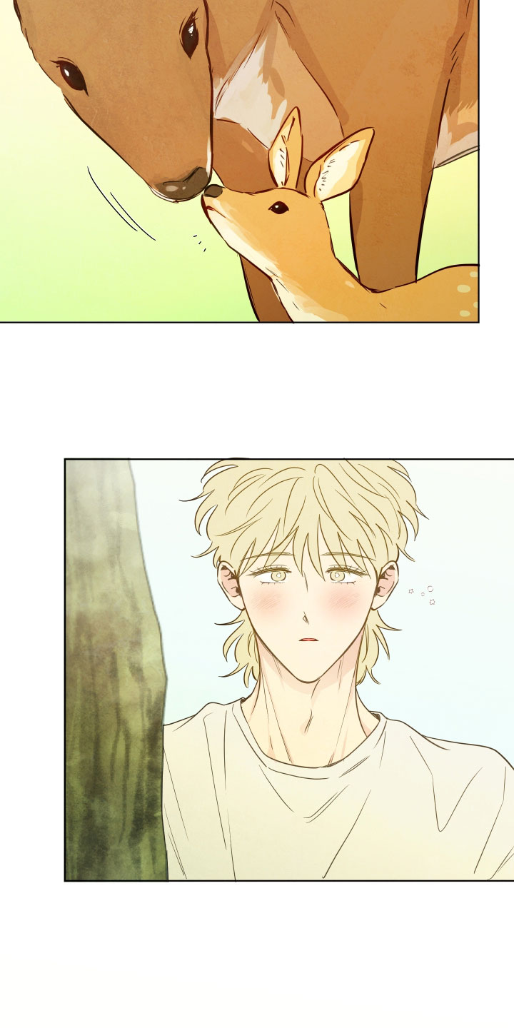 与神相会的地方漫画,第111章：【番外】单独回去吧1图