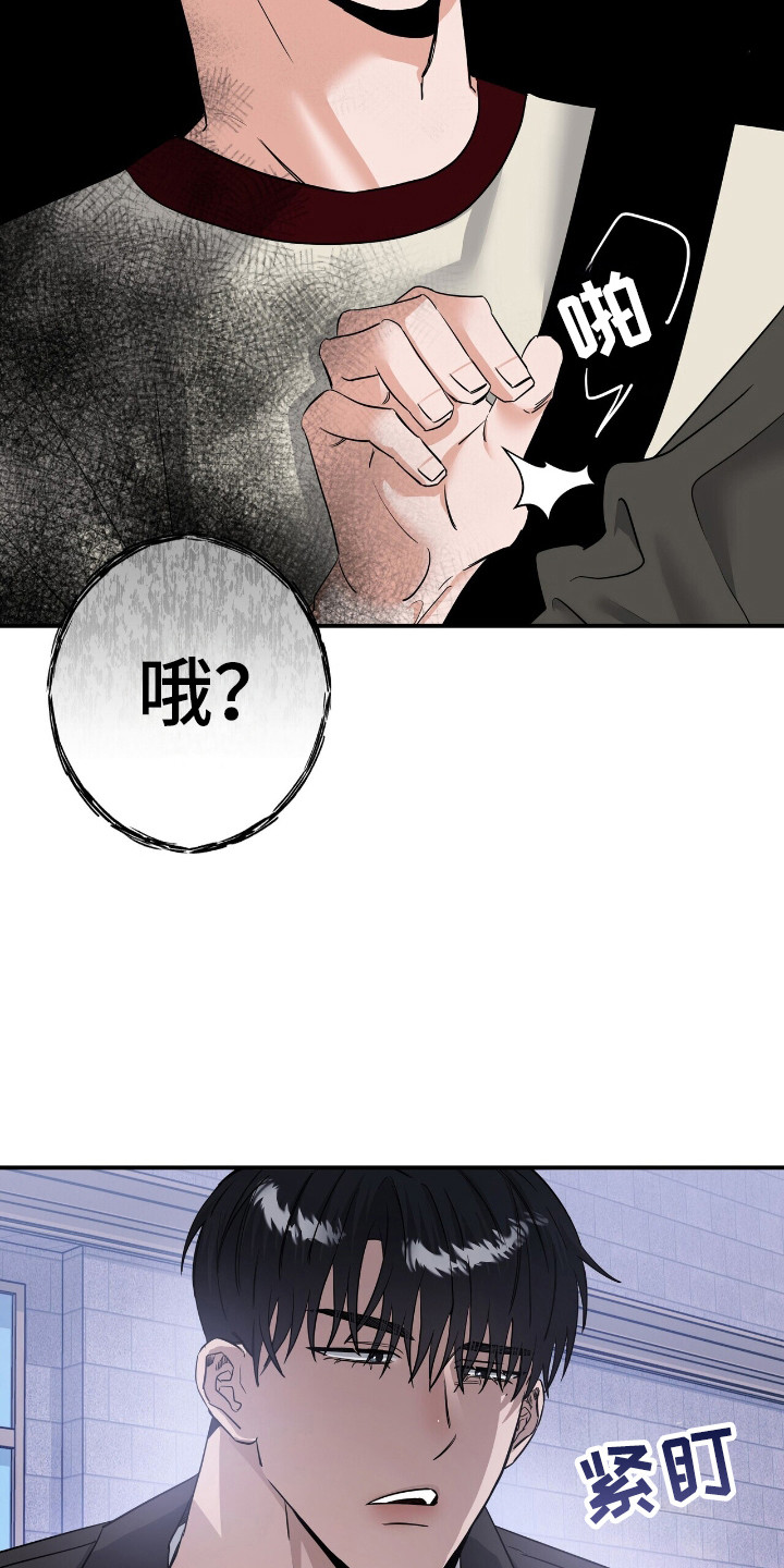 摘下星星送给你漫画,第52章：爱心便当2图
