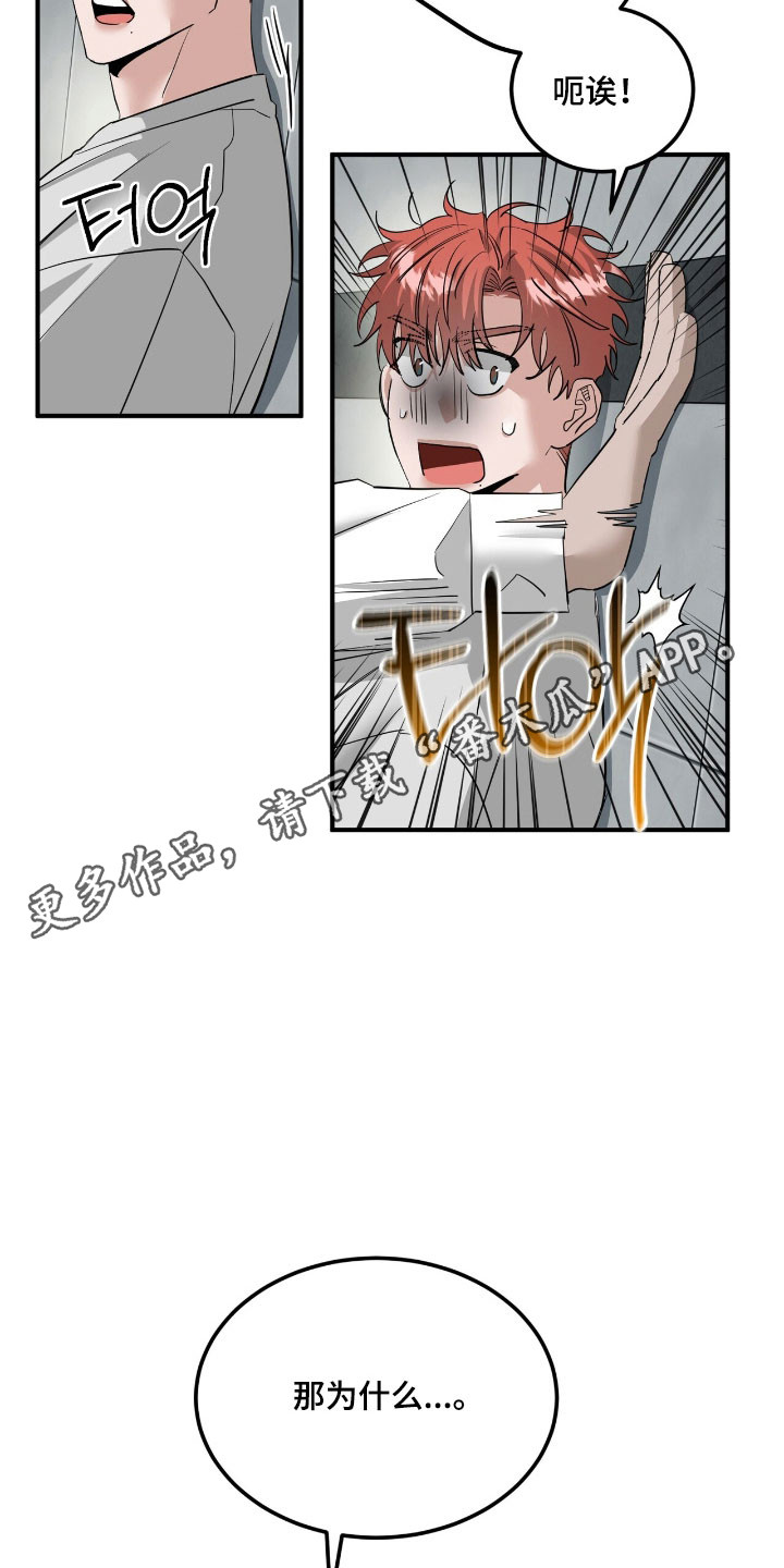 摘下星星送给你漫画,第70章：表白5图