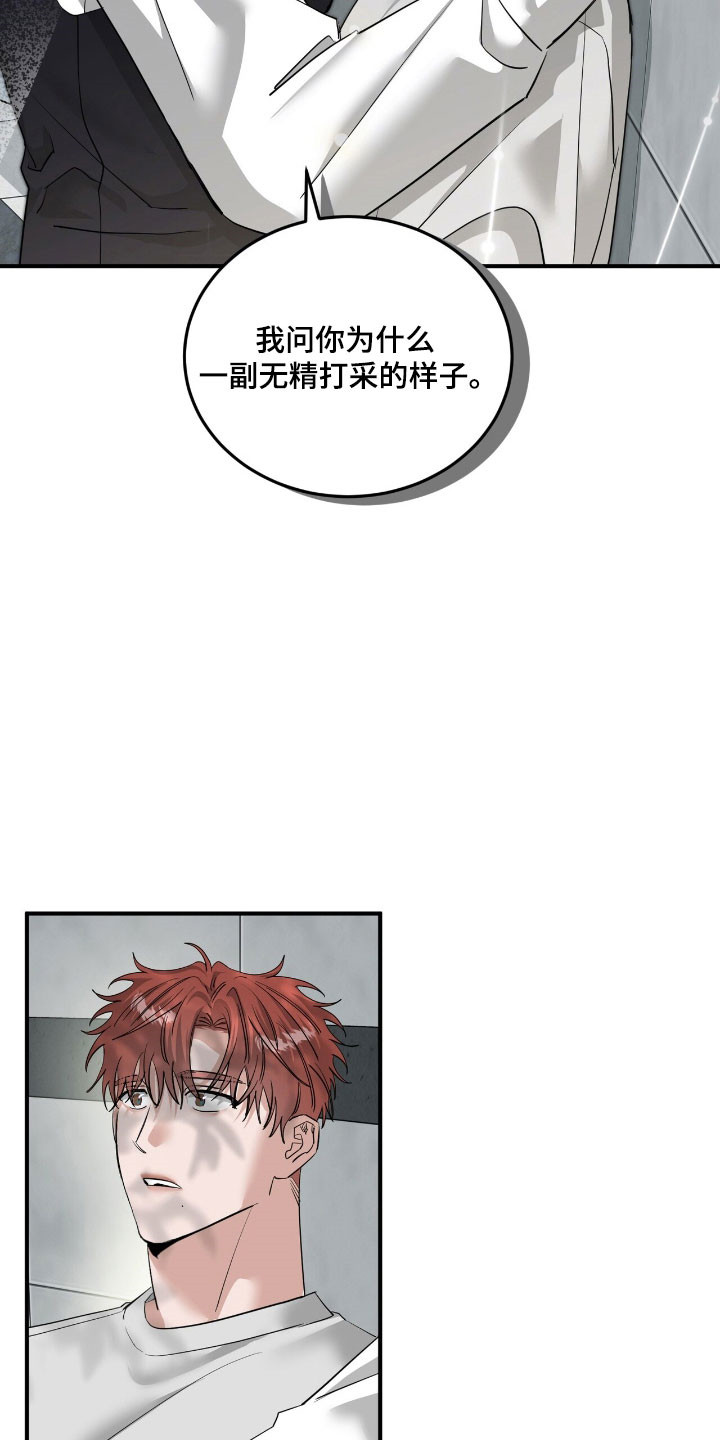 摘下星星送给你漫画,第70章：表白3图