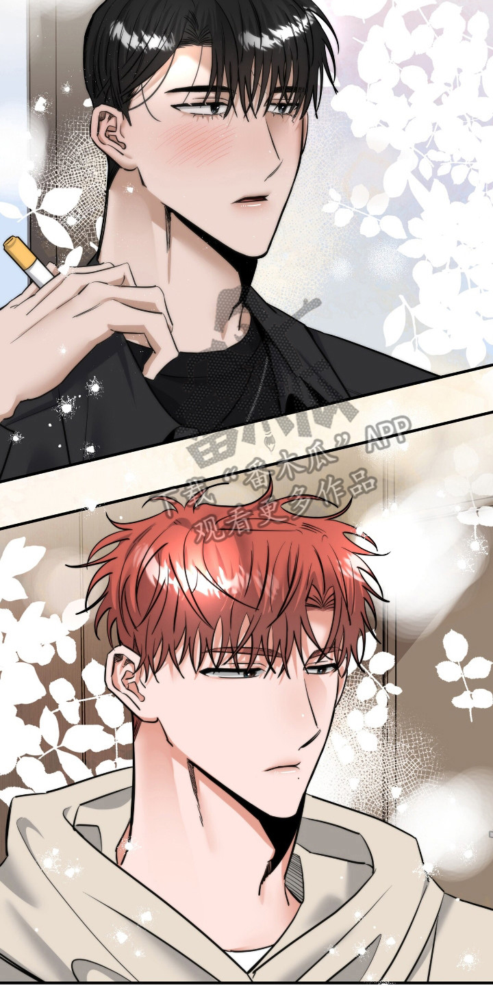 摘下星星送给你漫画,第35章：引起注意2图