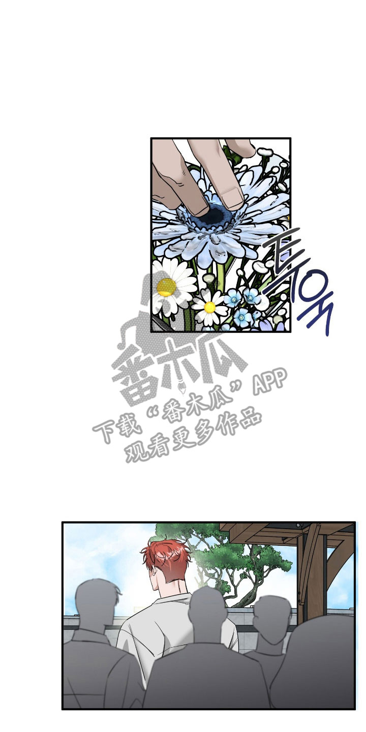 摘下星星送给你漫画,第70章：表白4图
