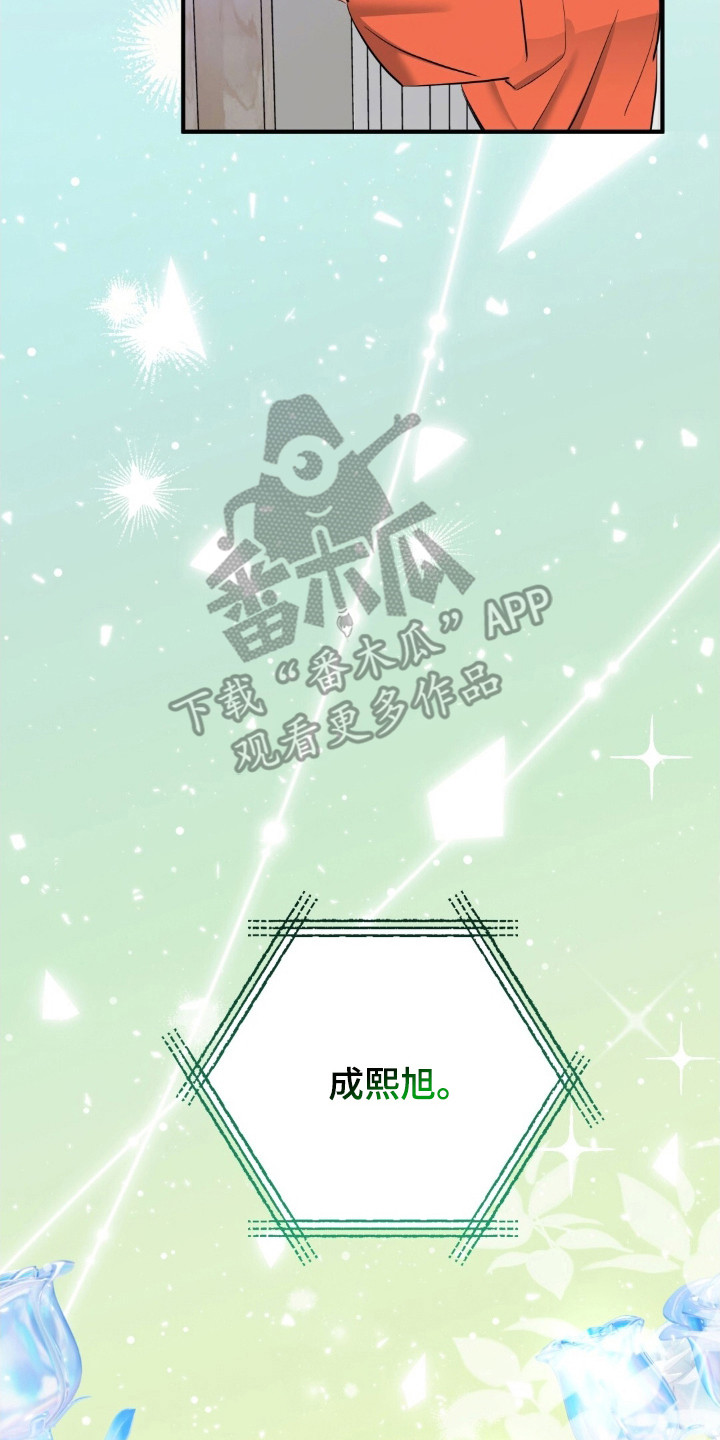 摘下星星送给你漫画,第45章：爱豆设定1图