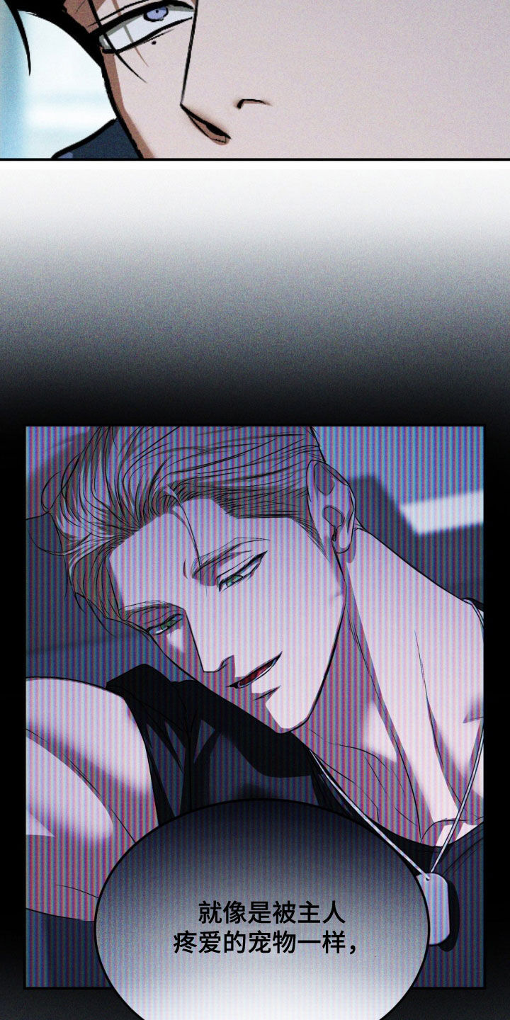 第66章：与我无关2