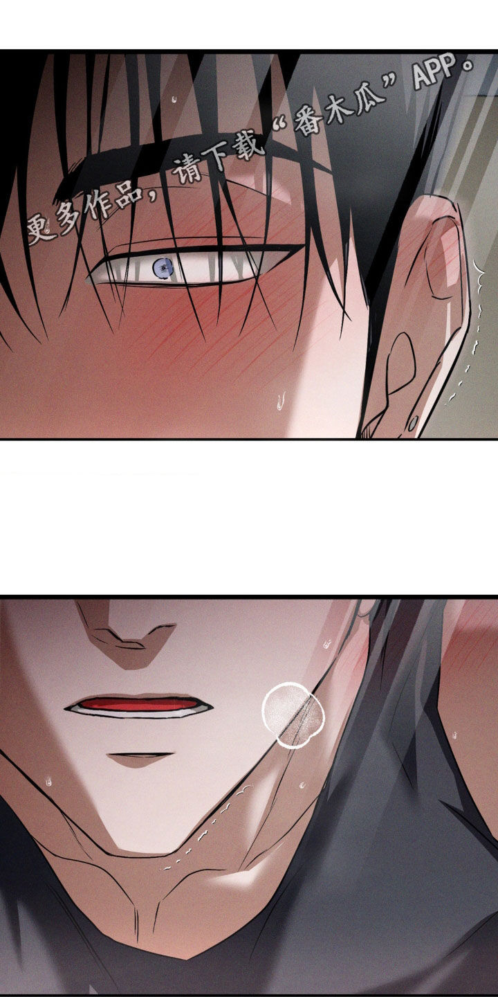 第60章：另一面0