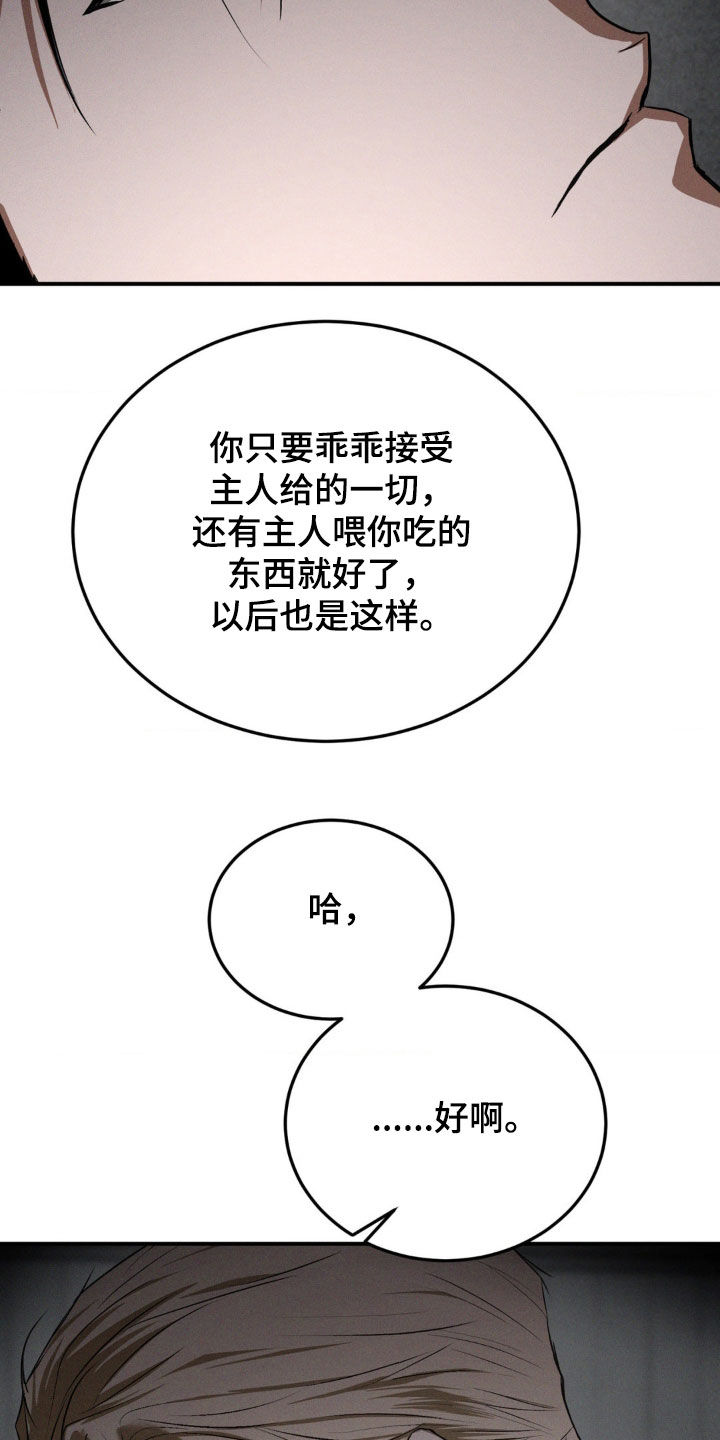 聚光灯下的安眠曲漫画,第56章：打赌3图