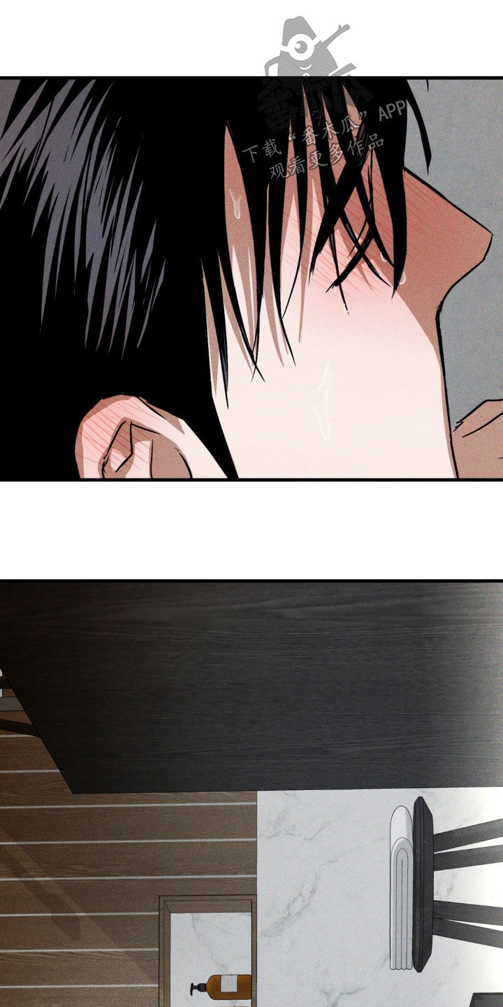 聚光灯下的安眠曲漫画观看方法漫画,第40章：哪里找得到5图