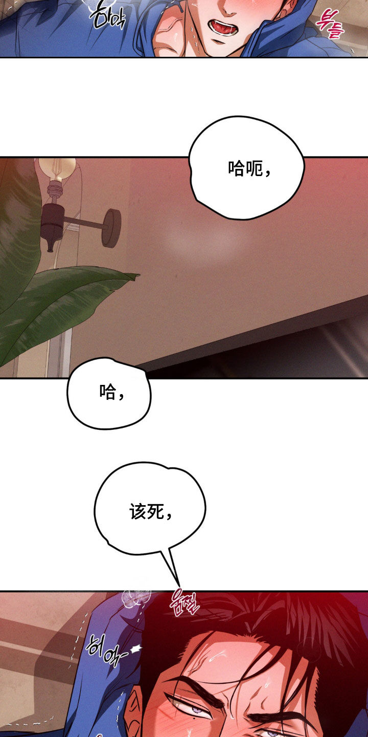 聚光灯下的安眠曲漫画,第70章：该死的5图