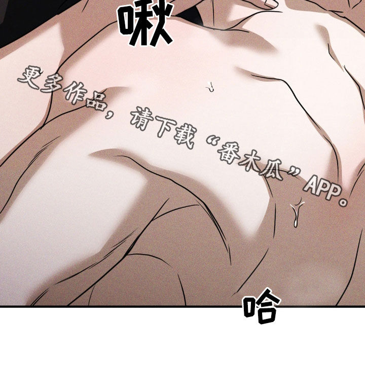 第39章：真的是个疯子1