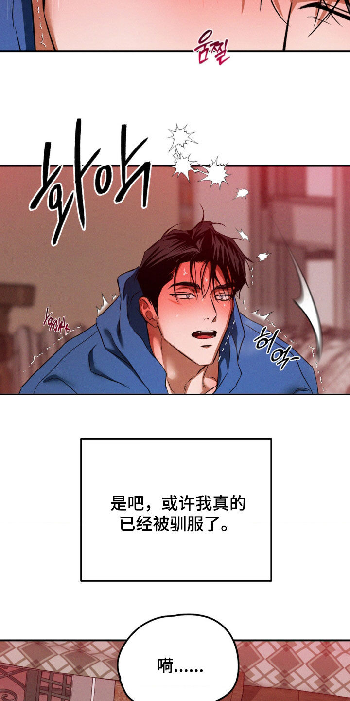 聚光灯下的安眠曲任务介绍漫画,第70章：该死的1图