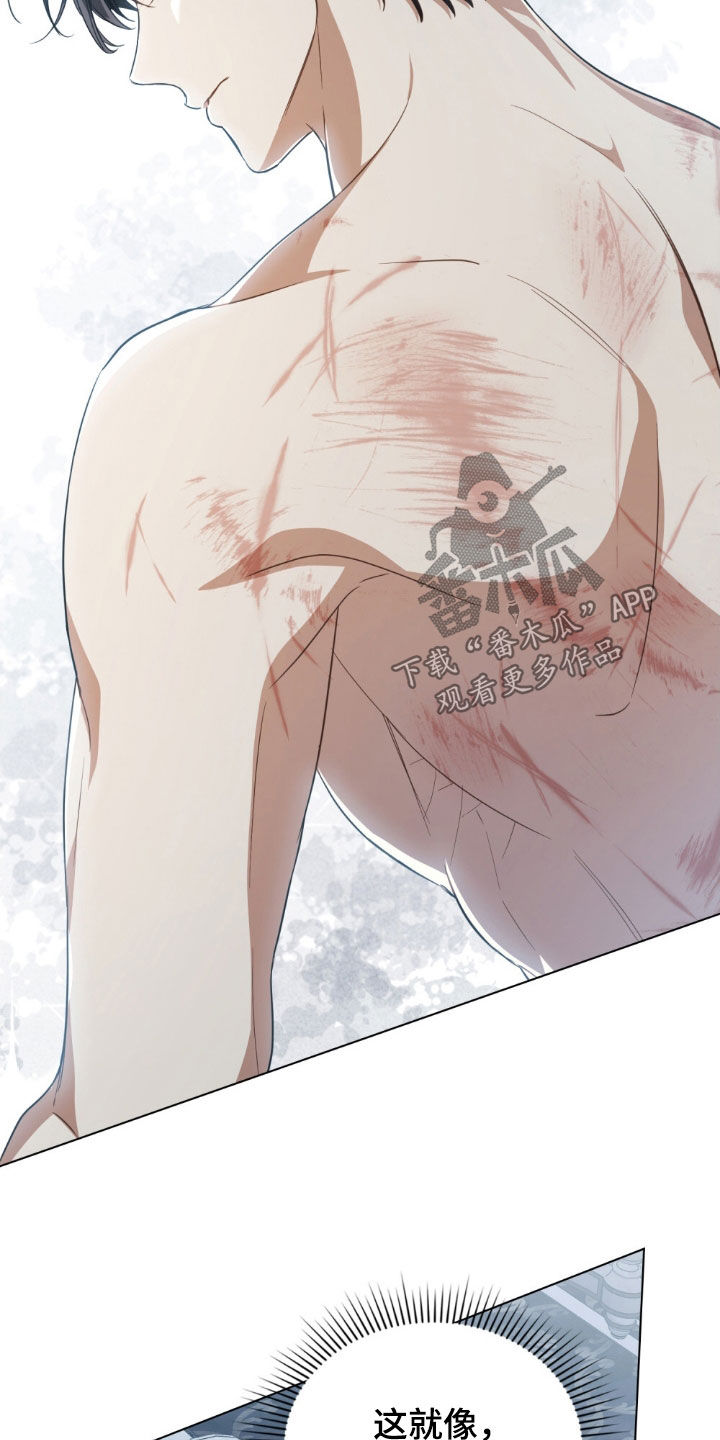 拯救小美人鱼宝宝漫画,第65章：好人2图