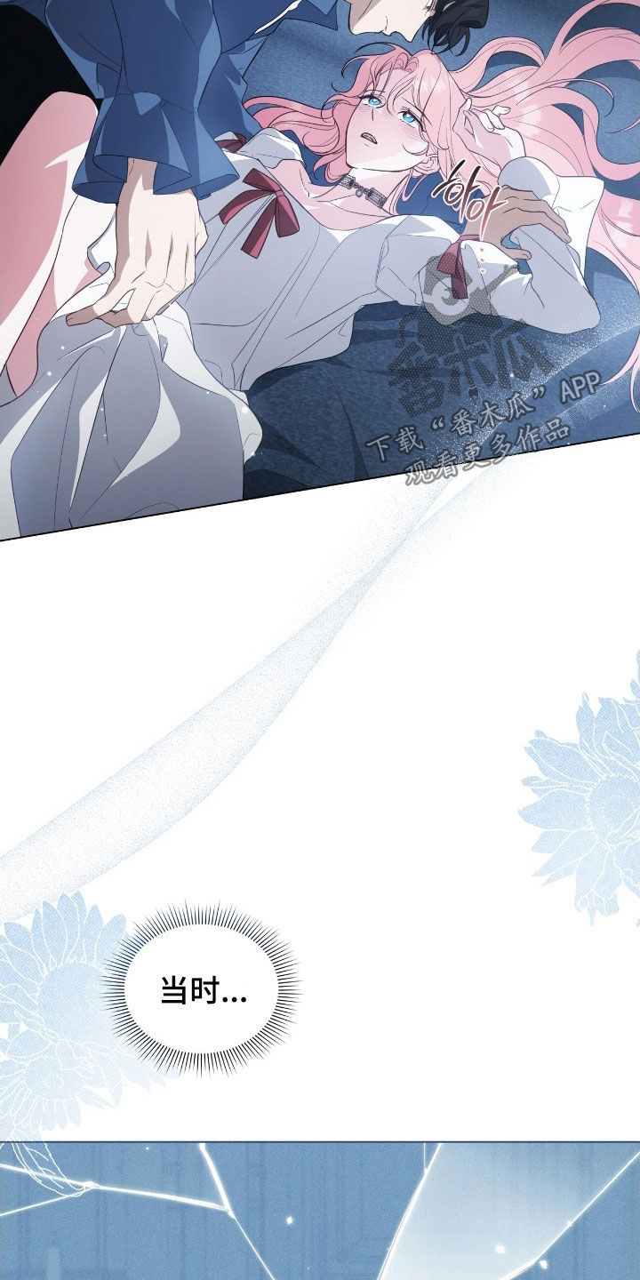 救赎我吧美人鱼漫画,第98章：【第二季】最后一夜1图