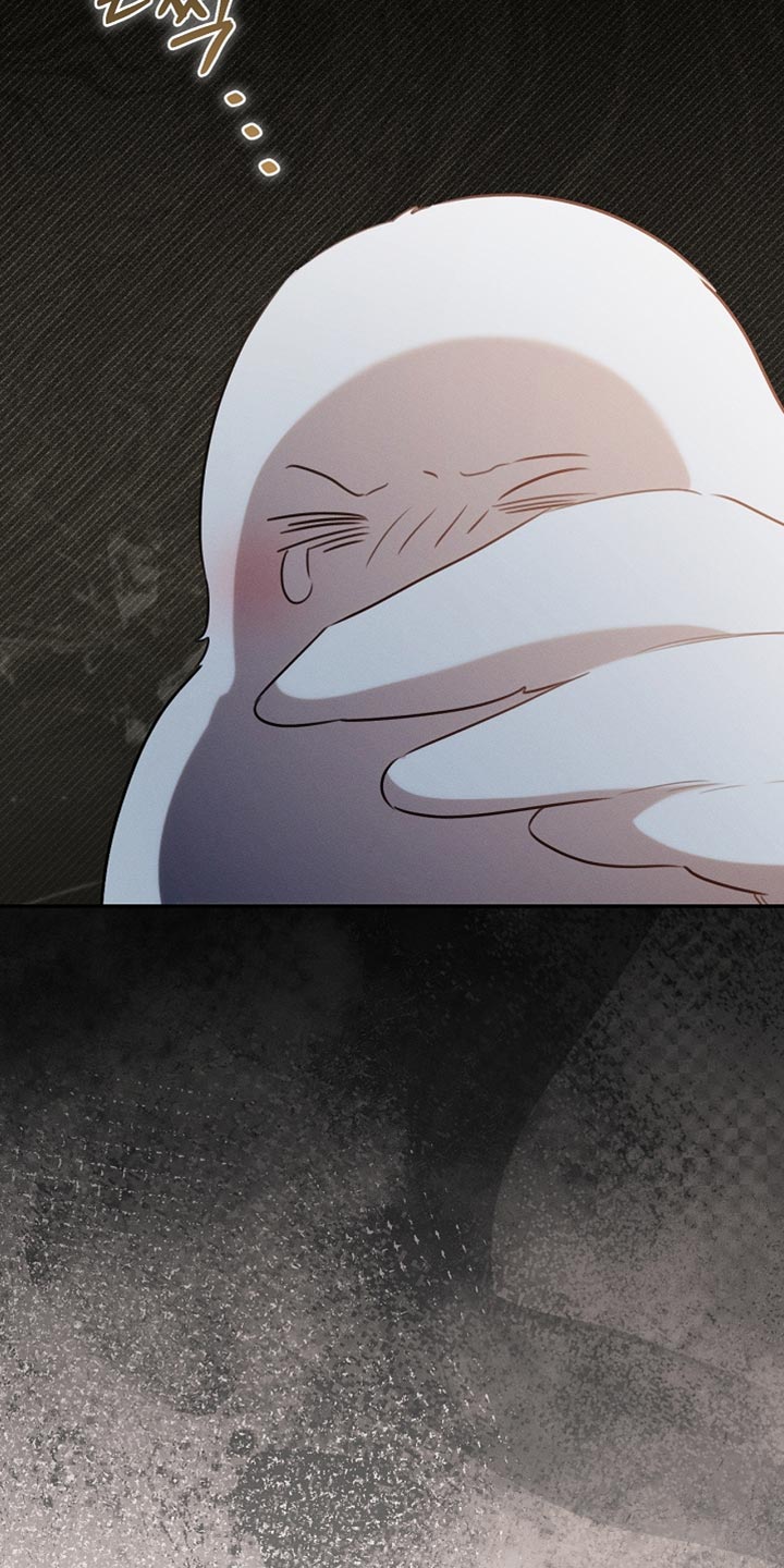 白鸟奇遇记漫画全集漫画,第108章：【第二季】被绑架了！2图