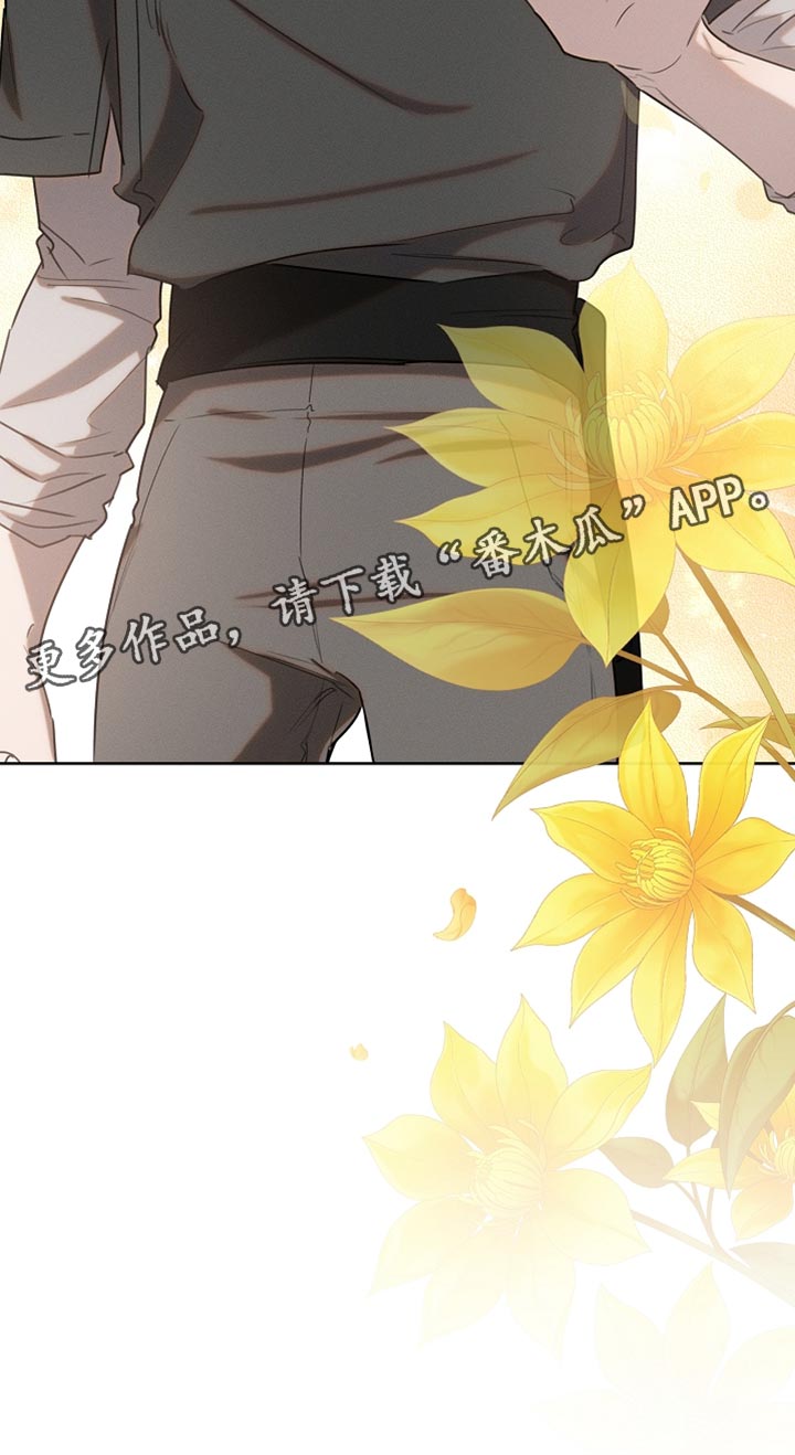 白鸟奇遇记6漫画,第80章：【第二季】摔倒1图