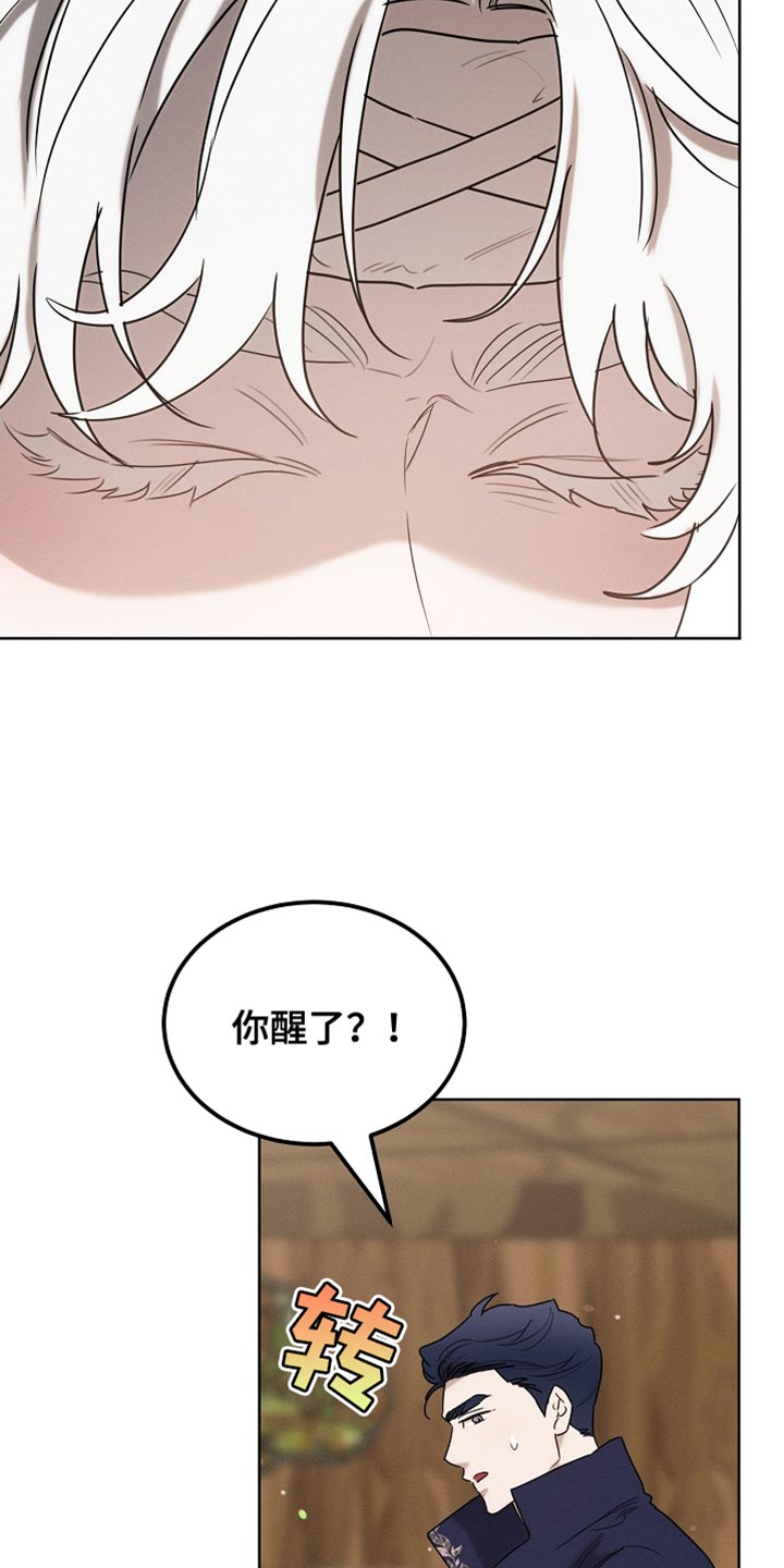 白鸟奇遇记漫画全集漫画,第104章：【第二季】在变一次鸟儿吗？4图