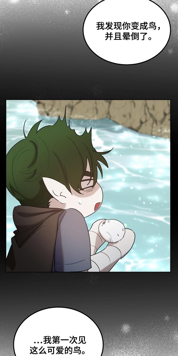 白鸟奇遇记漫画全集漫画,第104章：【第二季】在变一次鸟儿吗？1图
