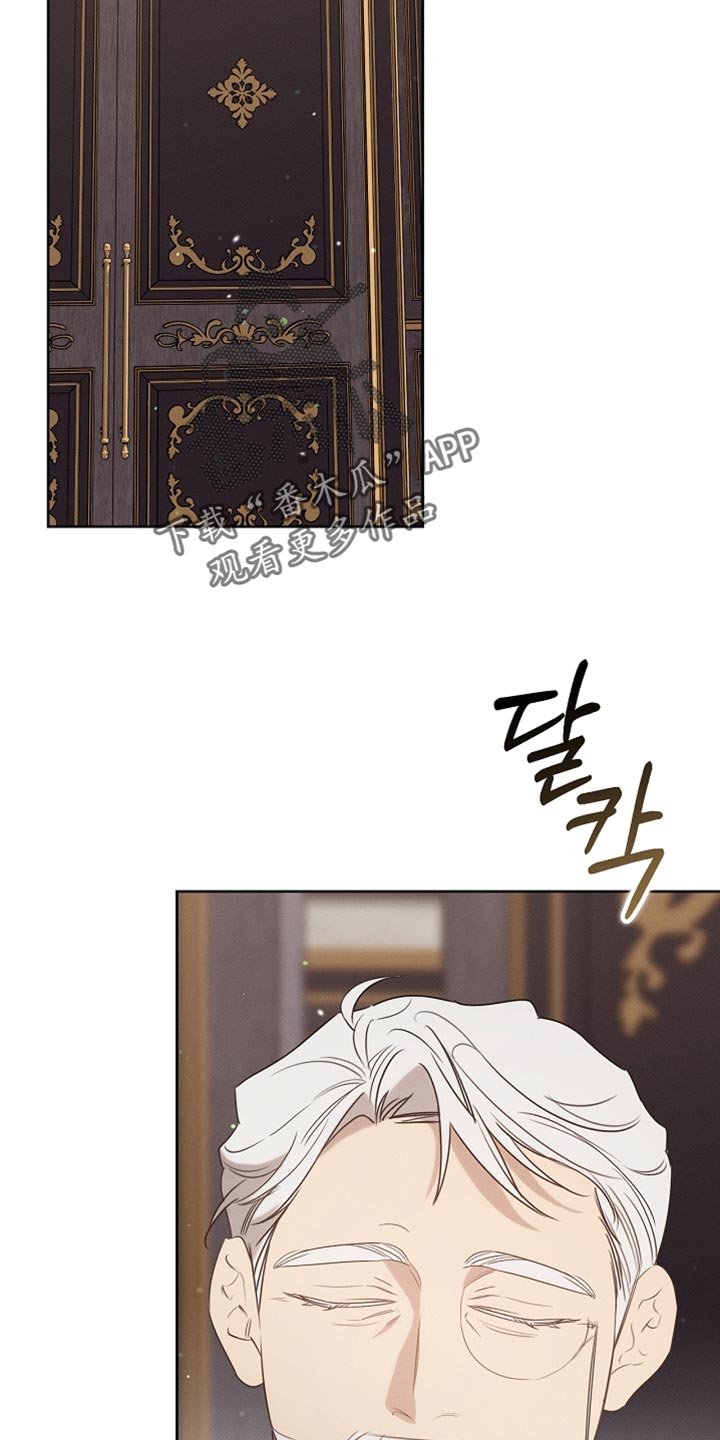 白鸟奇遇记漫画,第92章：【第二季】打赌2图