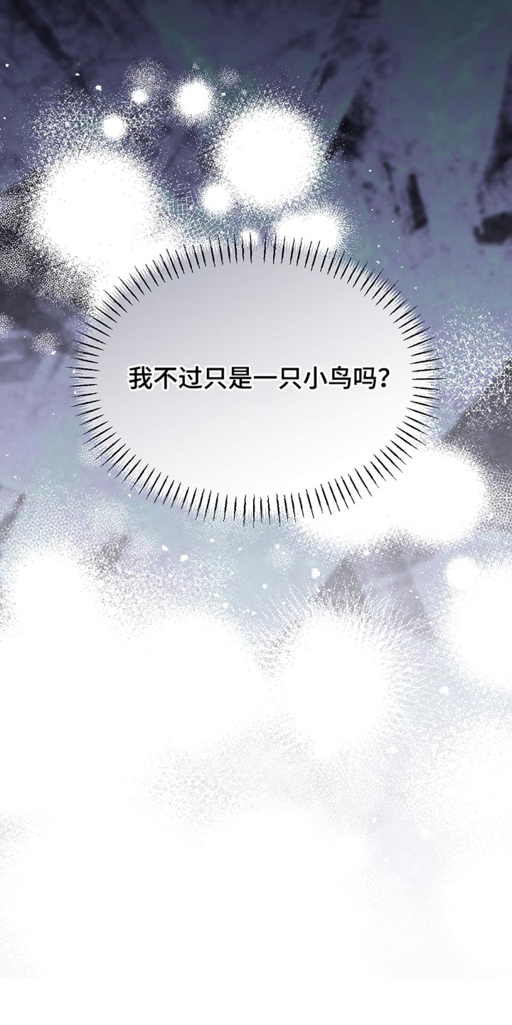 《白鸟奇遇记》简介漫画,第97章：【第二季】平静的生活4图