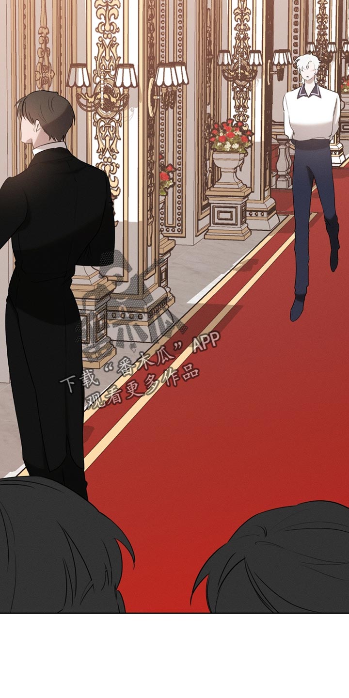 白鸟奇遇记6漫画,第80章：【第二季】摔倒3图