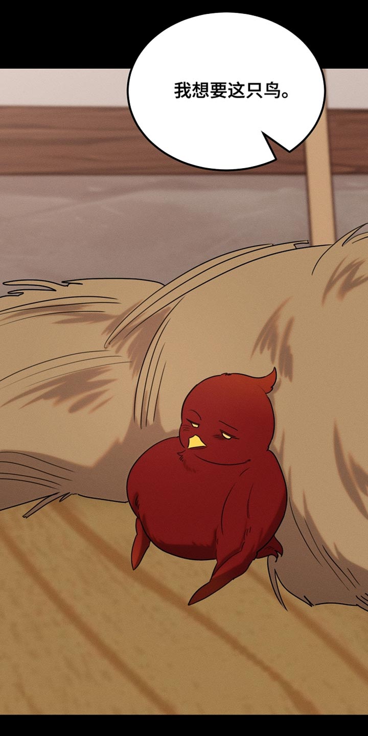 白鸟奇遇记漫画,第113章：【第二季】改变了他的世界1图