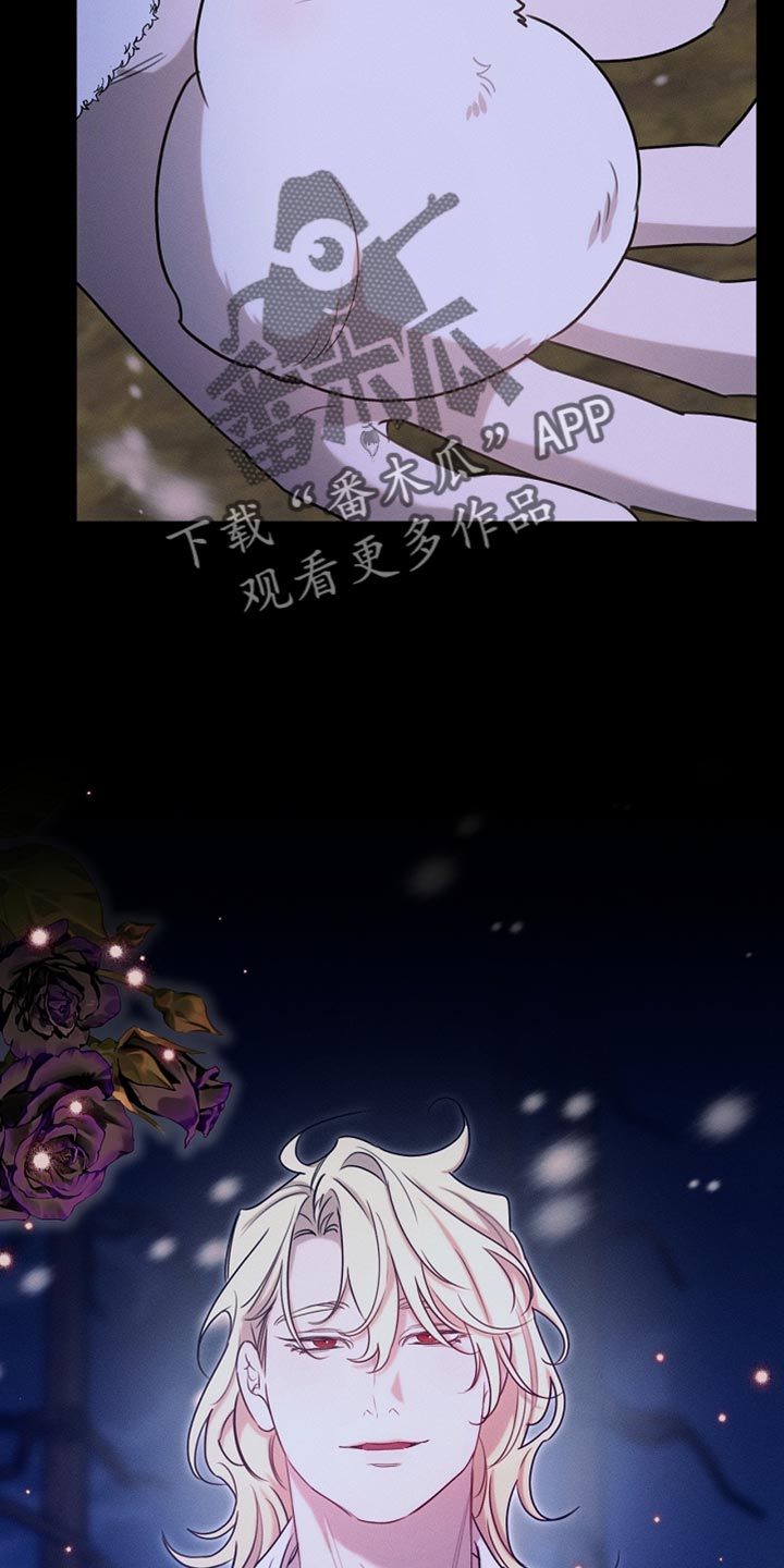 白鸟奇遇记第1季漫画,第111章：【第二季】我就让你们吃点苦3图