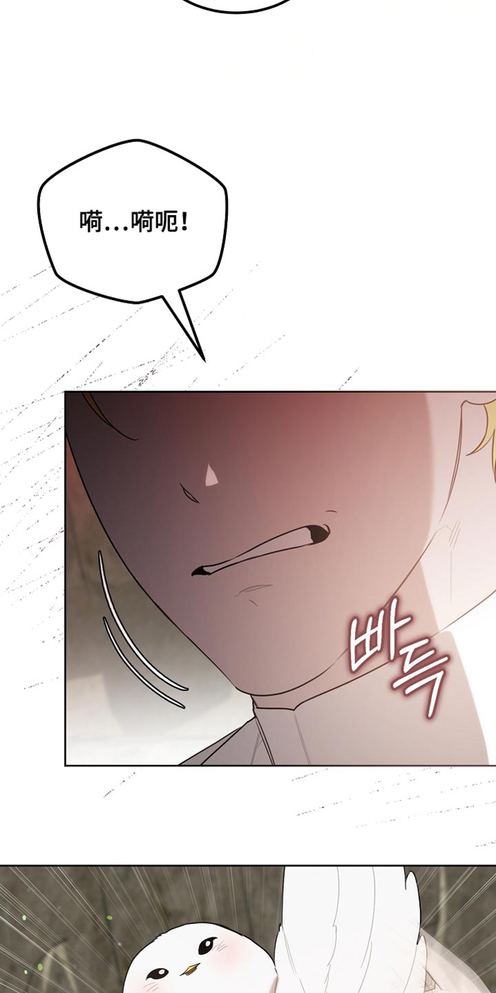 白鸟奇遇记漫画,第94章：【第二季】绑起来5图