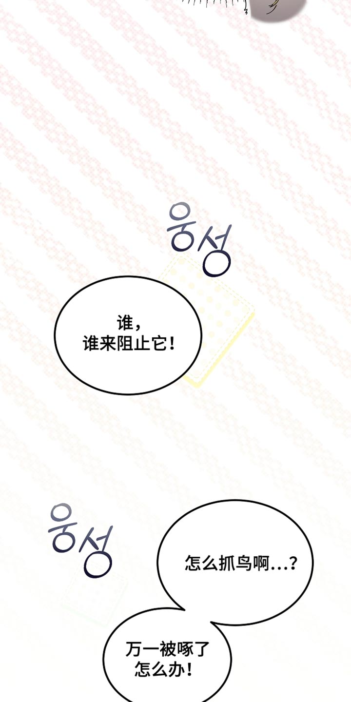 白鸟奇遇记漫画,第94章：【第二季】绑起来4图