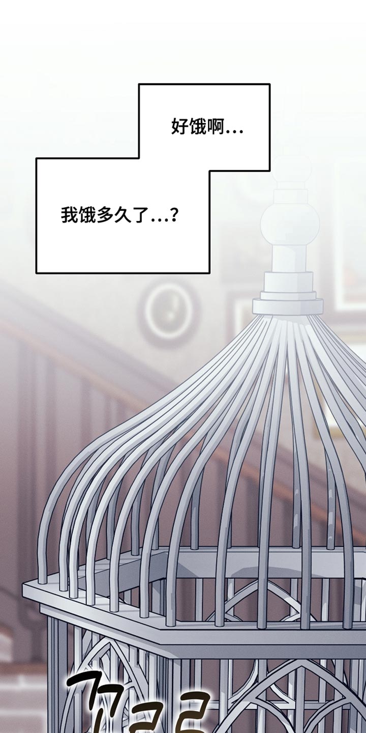 白鸟奇遇记漫画,第109章：【第二季】仇人5图