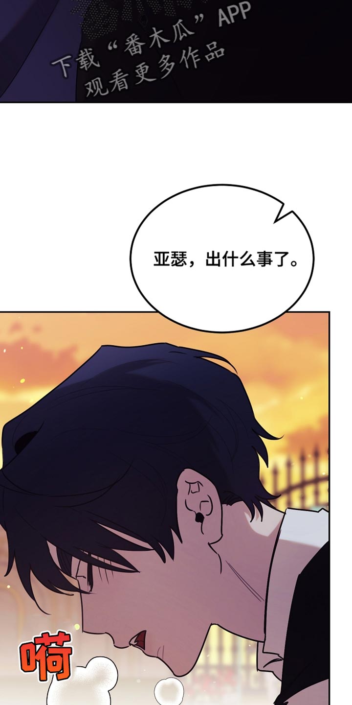 白鸟奇遇记漫画全集漫画,第108章：【第二季】被绑架了！3图