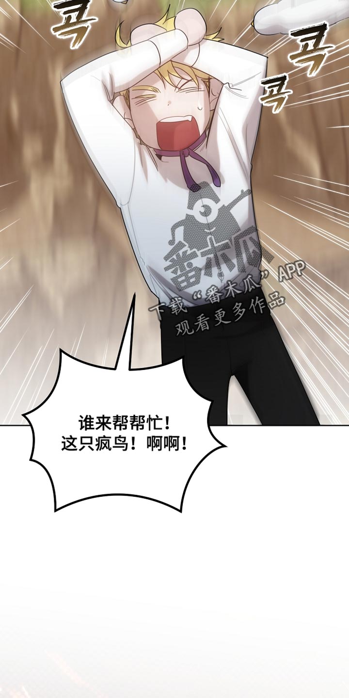 白鸟奇遇记漫画,第94章：【第二季】绑起来1图