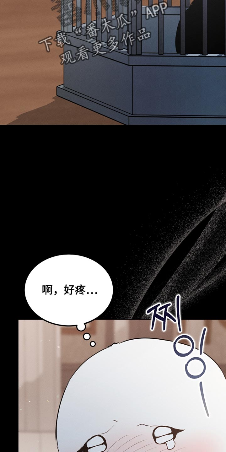 白鸟奇遇记漫画全集漫画,第108章：【第二季】被绑架了！5图