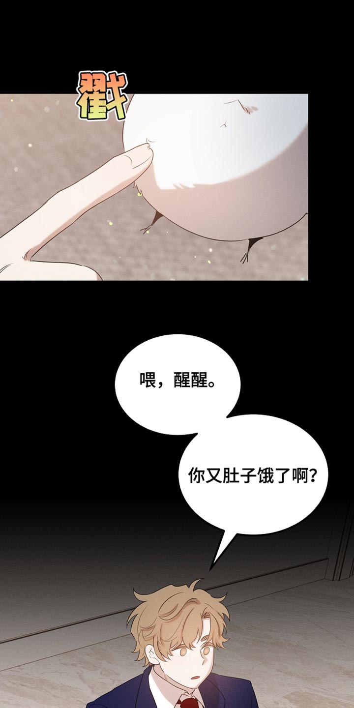 《白鸟奇遇记》简介漫画,第99章：【第二季】他正在担心我5图