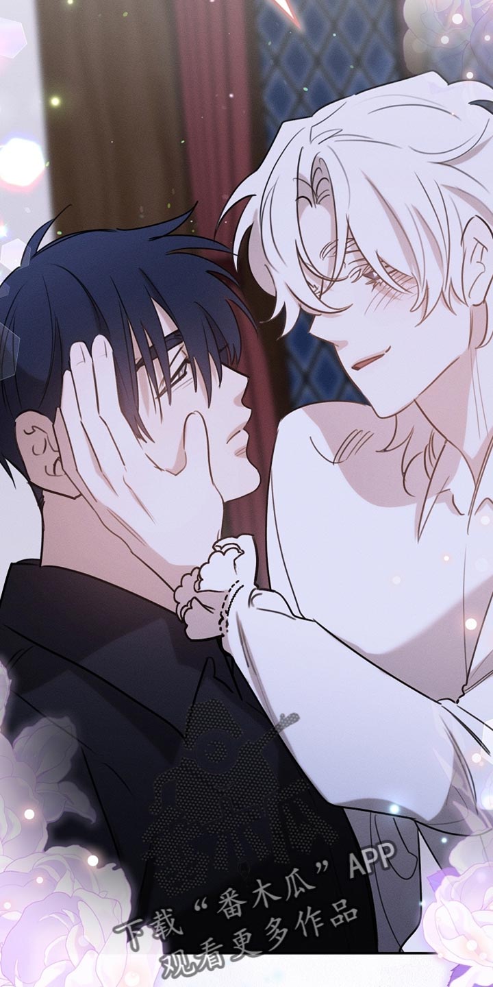 白鸟奇遇记漫画全集漫画,第106章：【第二季】你已经尽力了1图