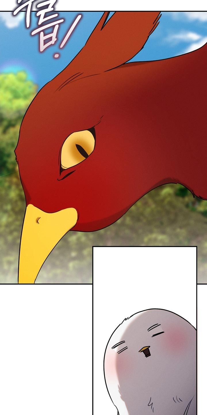 白鸟奇遇记6漫画,第107章：【第二季】被抓住了4图