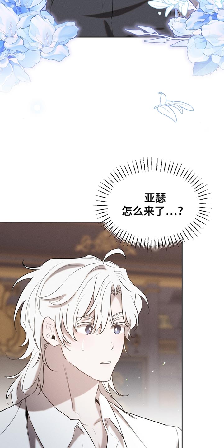 白鸟奇遇记漫画,第92章：【第二季】打赌5图