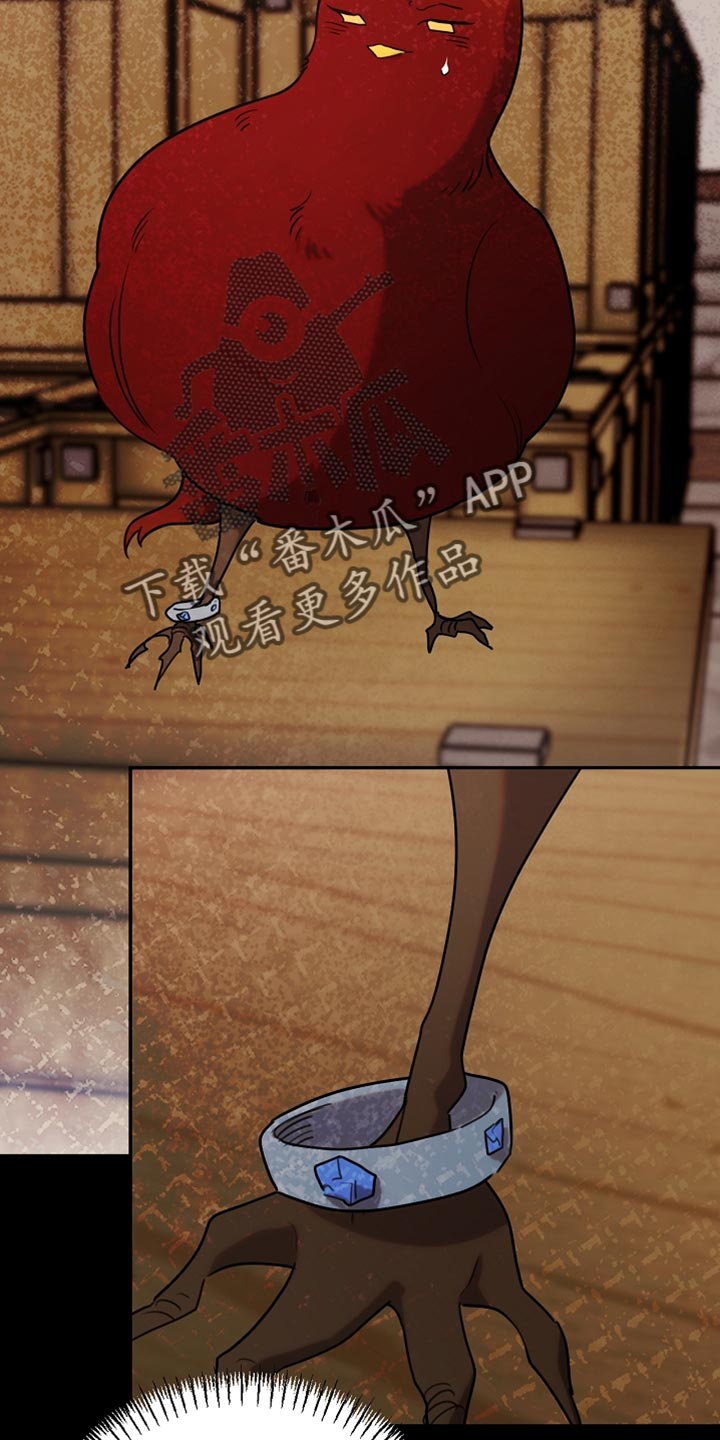 白鸟奇遇记漫画,第113章：【第二季】改变了他的世界1图