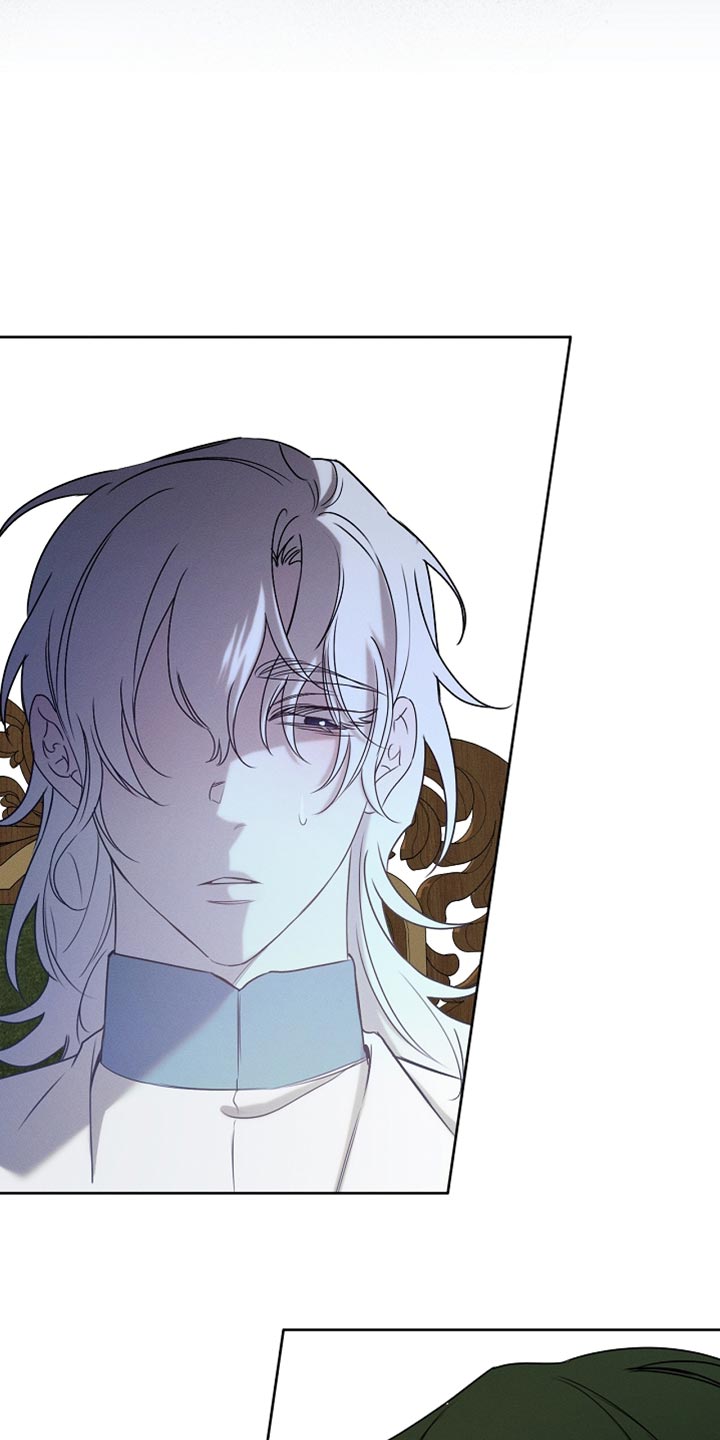 白鸟奇遇记漫画在哪里看漫画,第90章：【第二季】没有出现在我的梦里3图