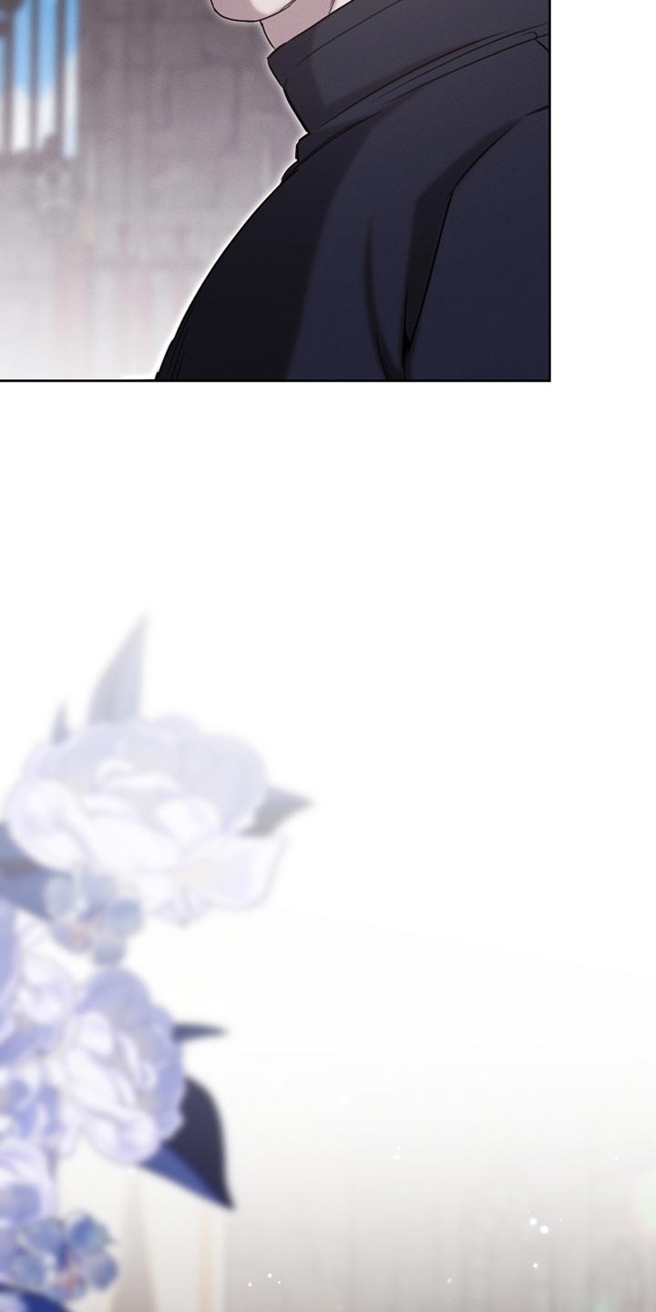 白鸟奇遇记漫画,第86章：【第二季】我管得太多了3图