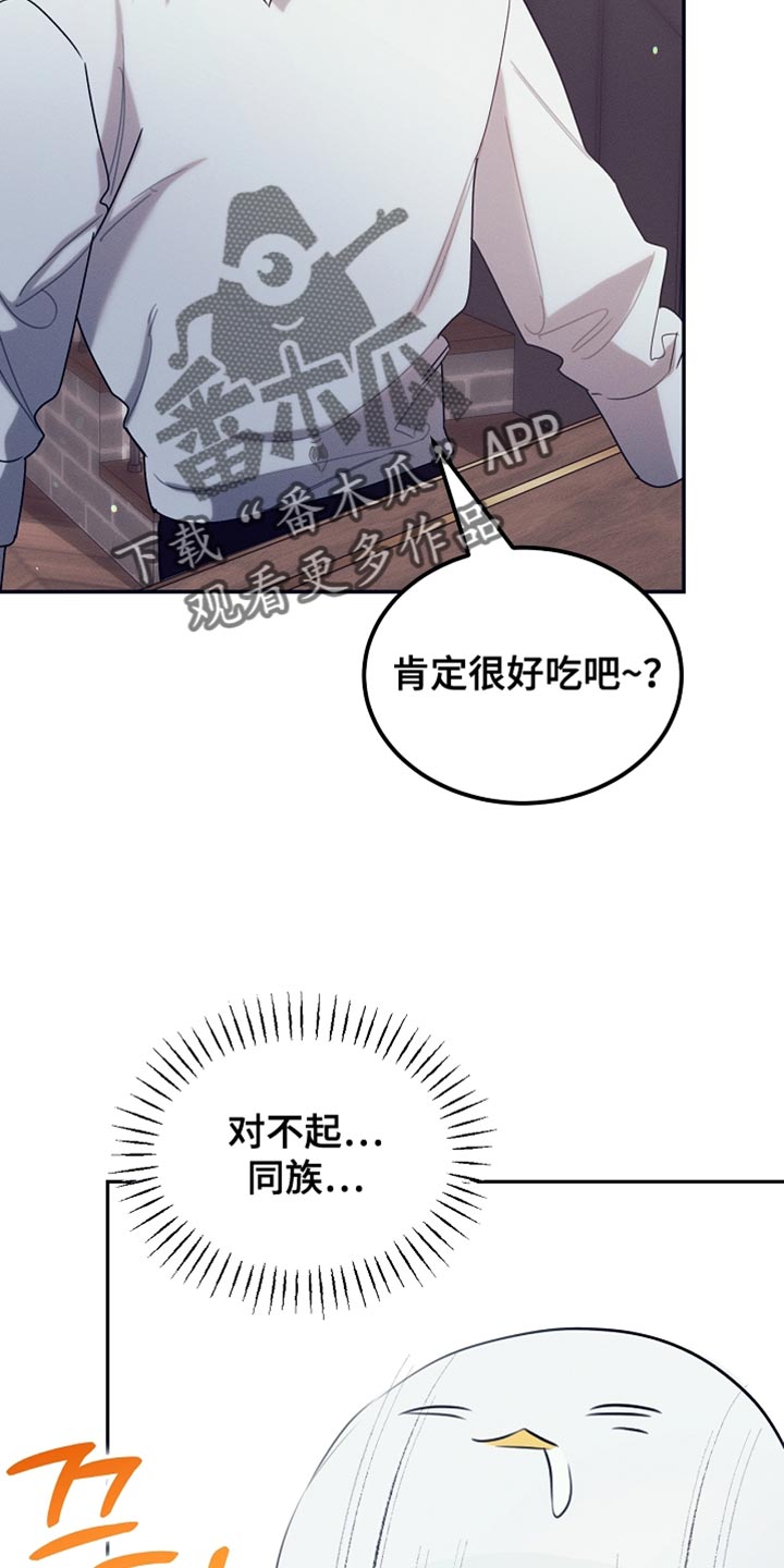 白鸟奇遇记漫画又名叫什么漫画,第109章：【第二季】仇人1图