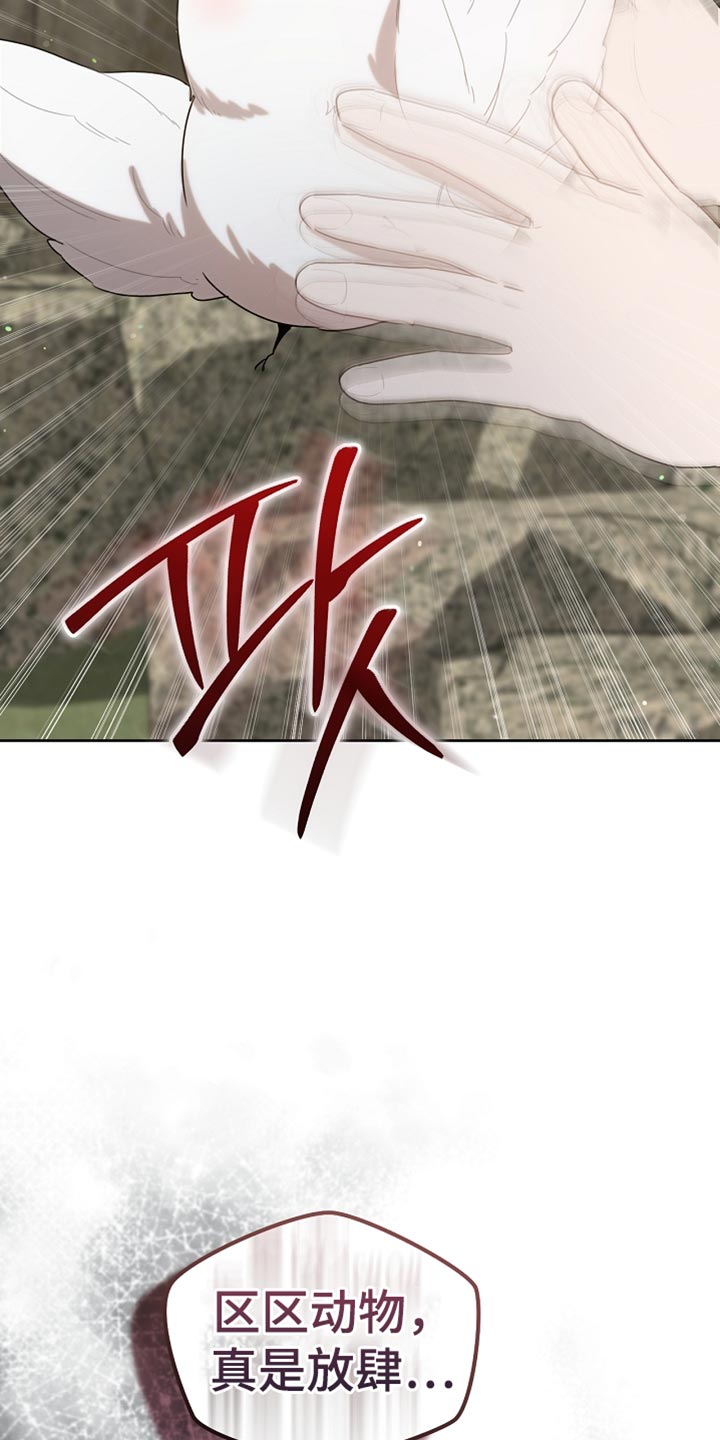 白鸟奇遇记漫画,第94章：【第二季】绑起来1图