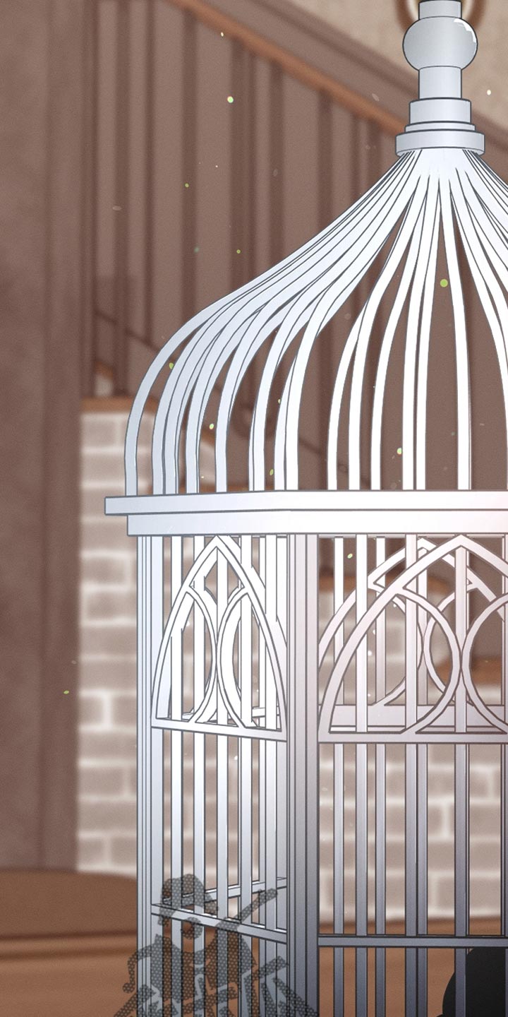 白鸟奇遇记漫画全集漫画,第108章：【第二季】被绑架了！4图